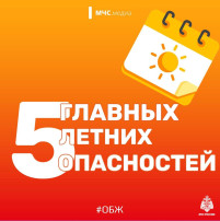 5 главных опасностей лета! 5 главных опасностей лета! .